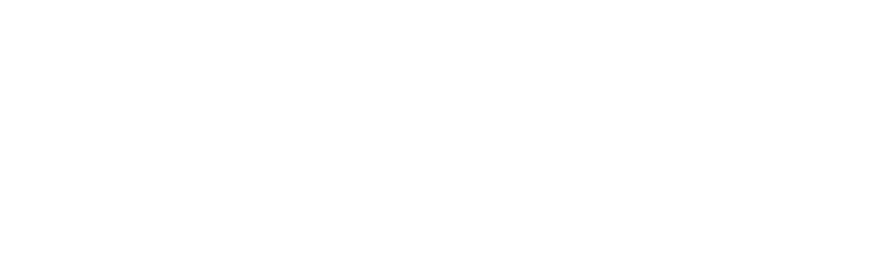 logo primaforma